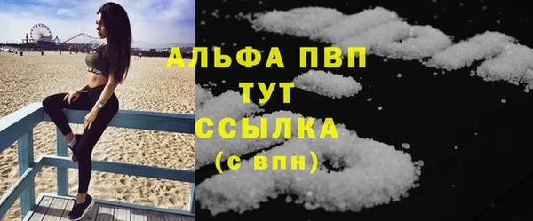 амф Вяземский