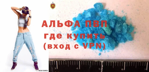 амф Вяземский