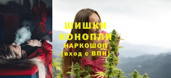 сатива Вязники