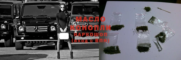 амф Вяземский