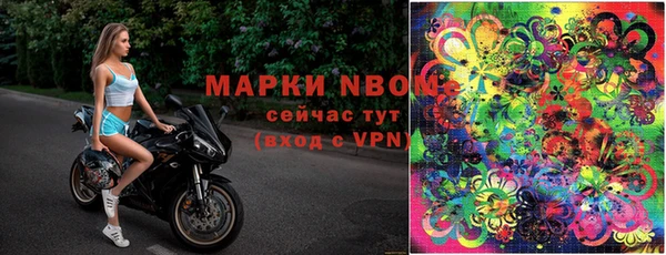 амф Вяземский
