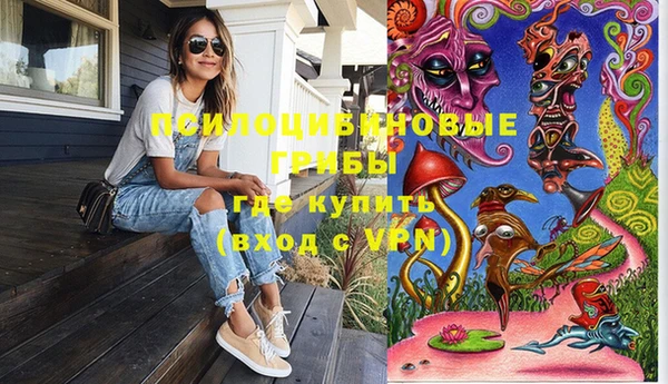 сатива Вязники
