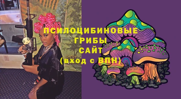 сатива Вязники