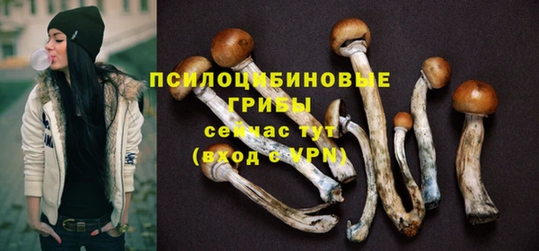 сатива Вязники