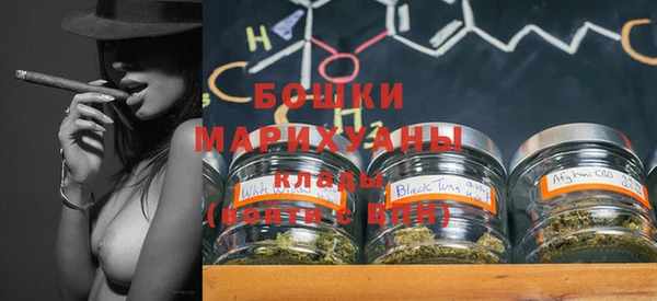 амф Вяземский