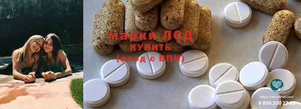 амф Вяземский