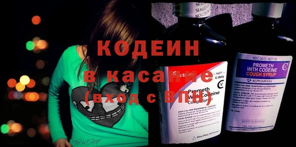 амф Вяземский