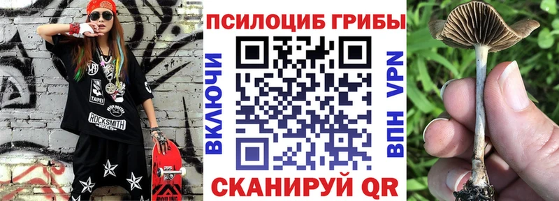 Купить где  Пудож  Псилоцибиновые грибы Cubensis 